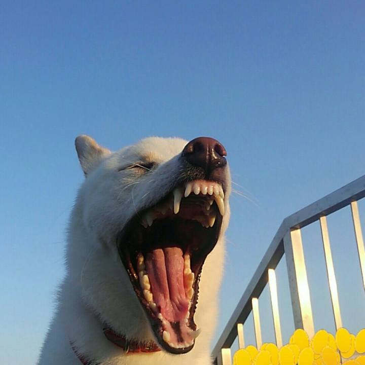 Bdac8961 0bc5 4e8d b322 b6fd5a0f37bd