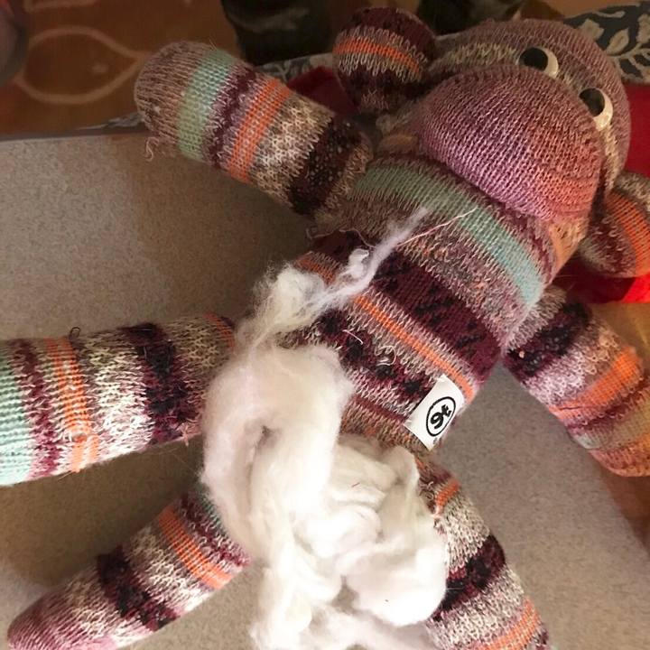 Bdad3592 c447 4463 b712 843e9c5c07ab