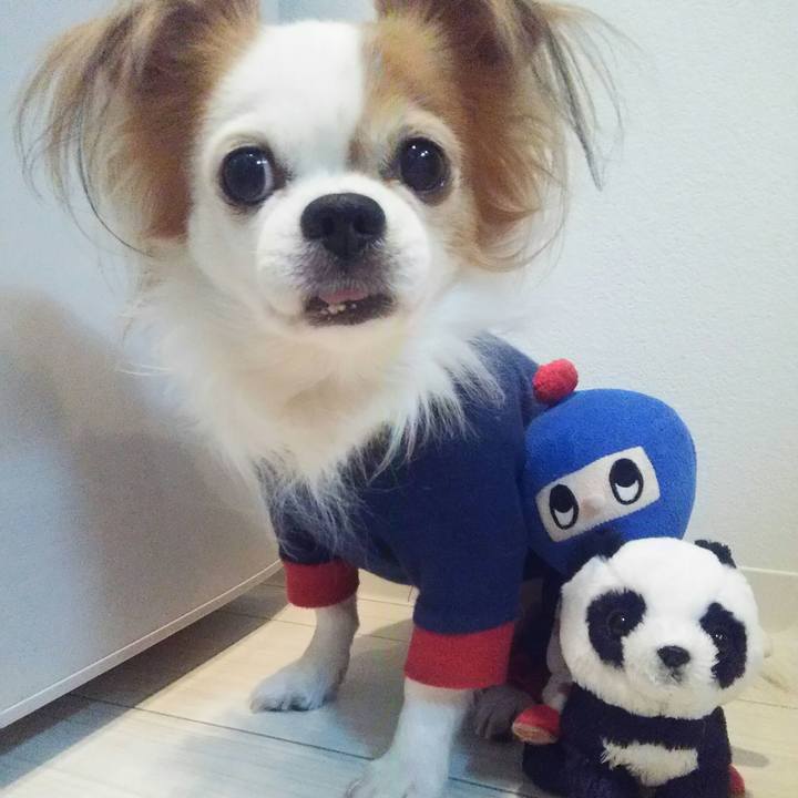 Bdadb4df 21d0 4130 8368 d5f04495df7f