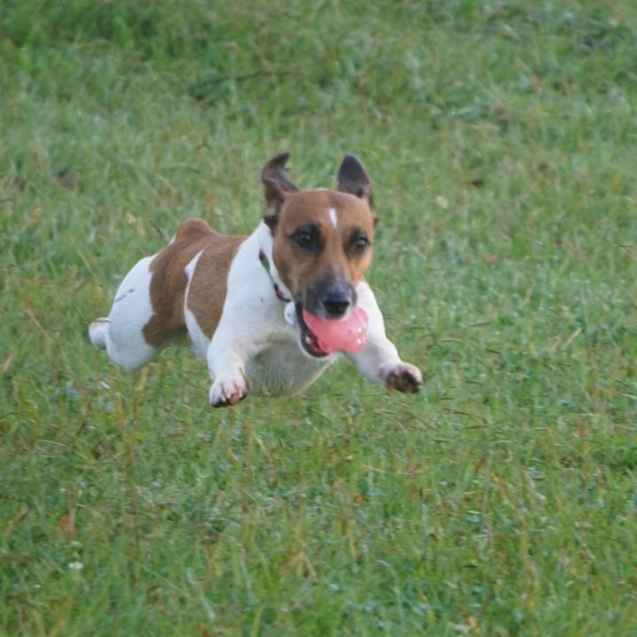 Bdadc3e5 18b5 4991 a46e 53825b933cee