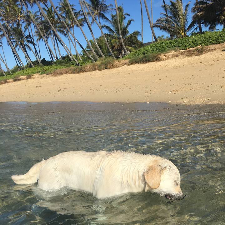 Bdadd94d 8529 4af2 9507 82641c74f88f