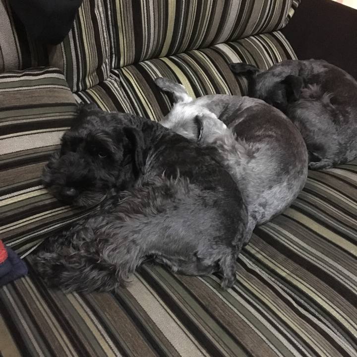 Bdaec24b 0813 407b 9b1d e604cec99df9