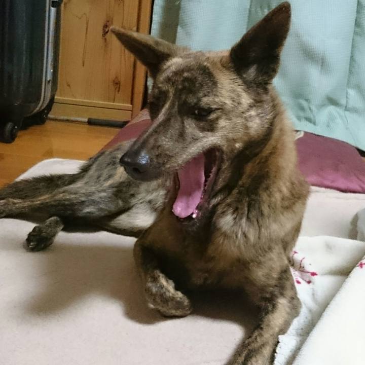 Bdaec38a 01ad 4018 b68b c260f3f9bda0