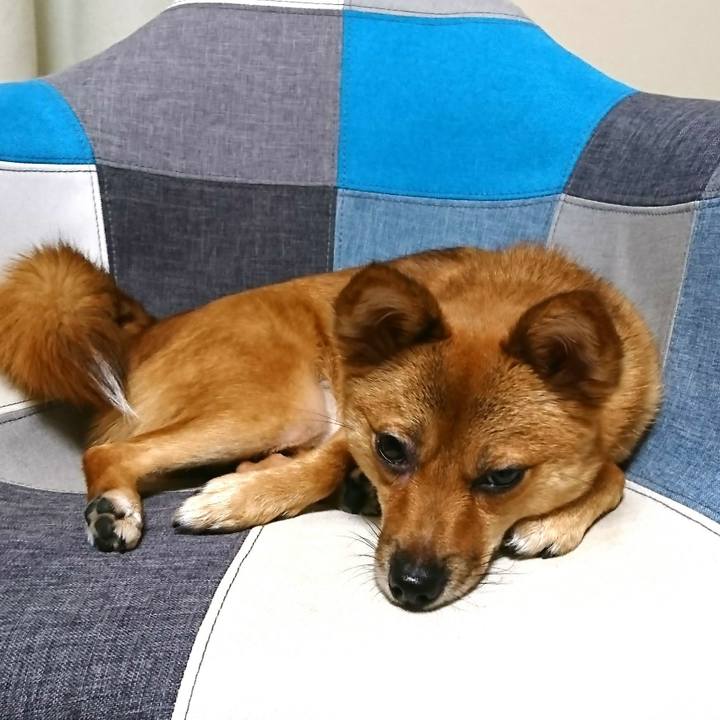 Bdaec3ca 857f 45e0 854e c386cde1f53d