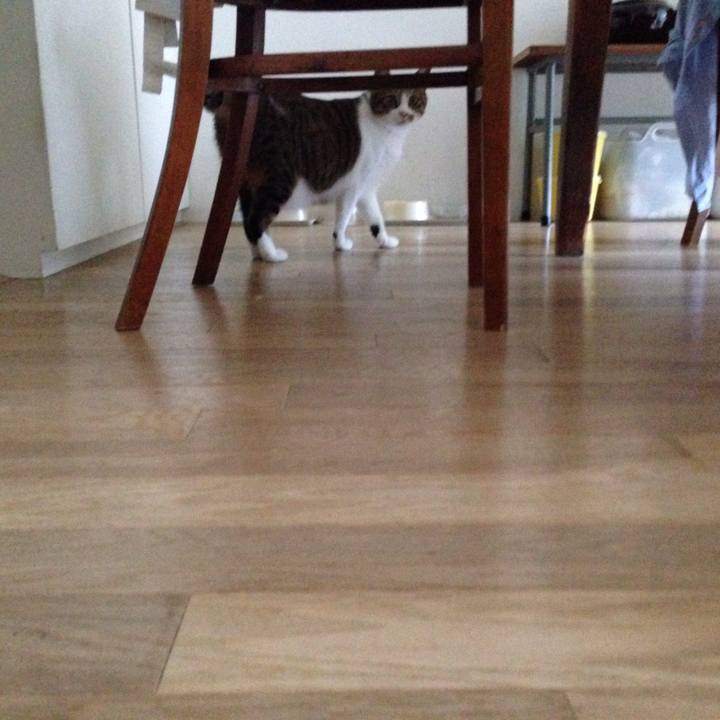 Bdaf7318 c782 43b0 b904 35ccc5cc0354