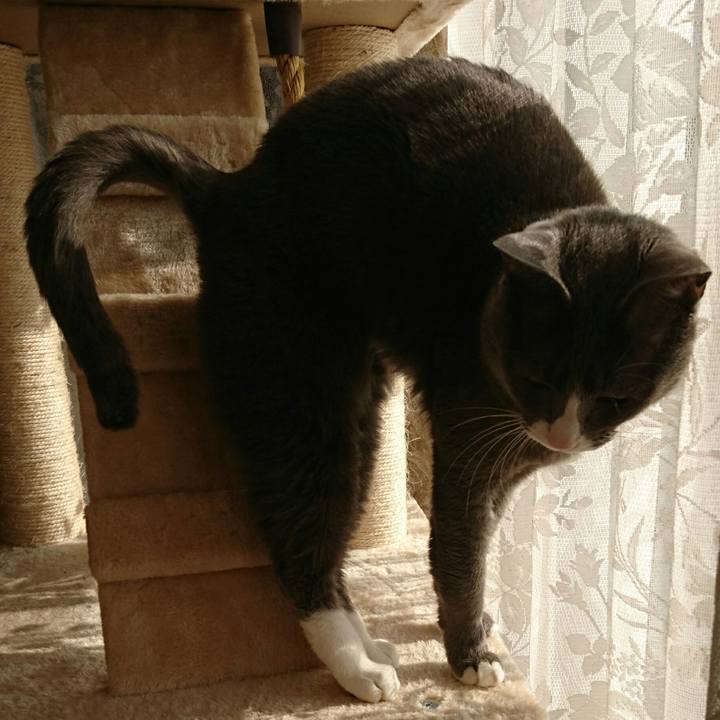 Bdb0186f dd5b 4cb8 9d0f 5acde17cd00e