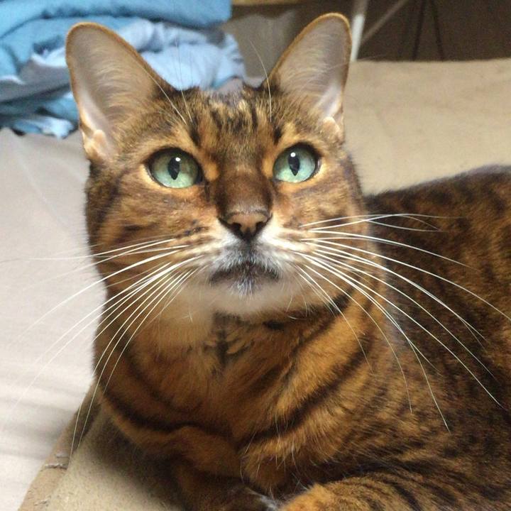 Bdb035c5 0216 4fba bdd7 edcafa131e64