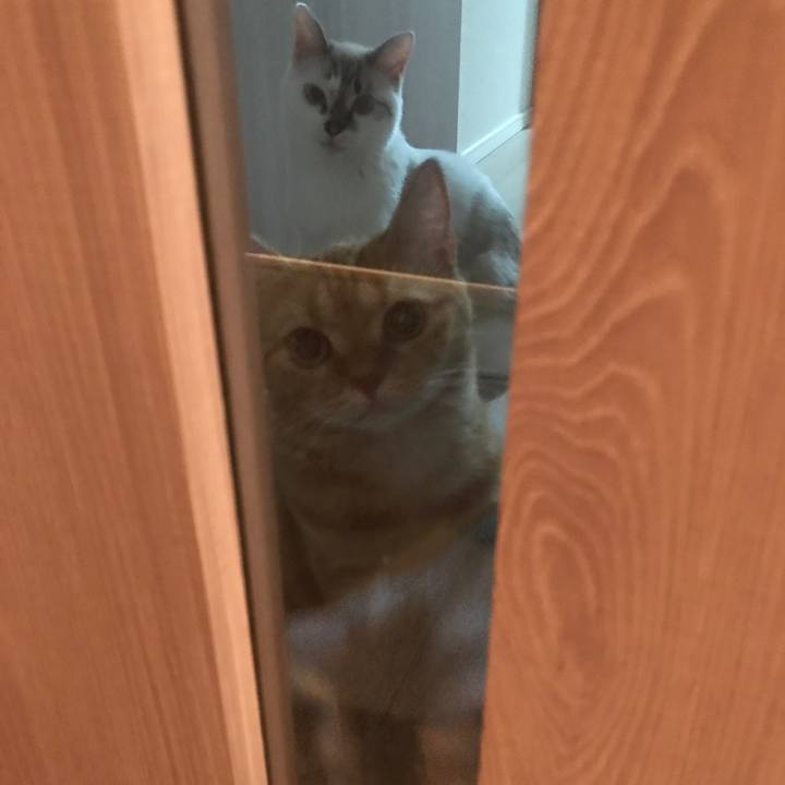 Bdb04415 9579 421a a148 ad0f41771b0a