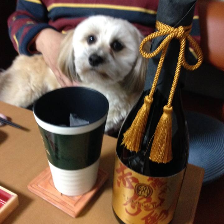 Bdb05a8c 407d 489c b2d5 8b0d13b4d886