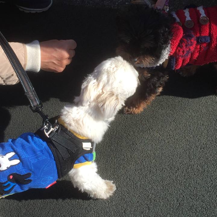 Bdb15b47 d2ab 43b3 81f8 4219d3073757