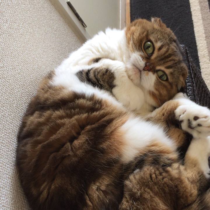 Bdb166aa 2be3 4278 b489 d241ec59f409