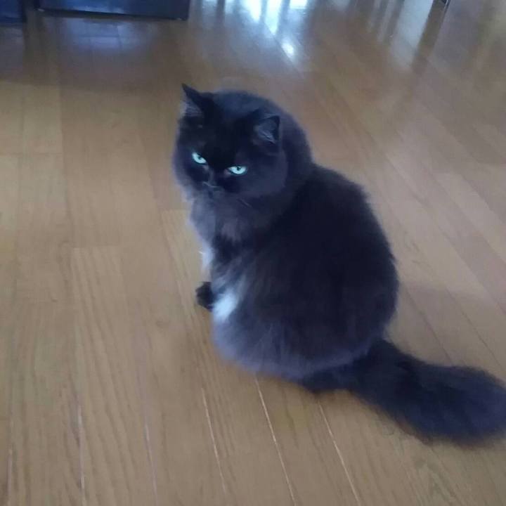 Bdb2ff3b 8e5f 479e 895e f119e9c8fa68