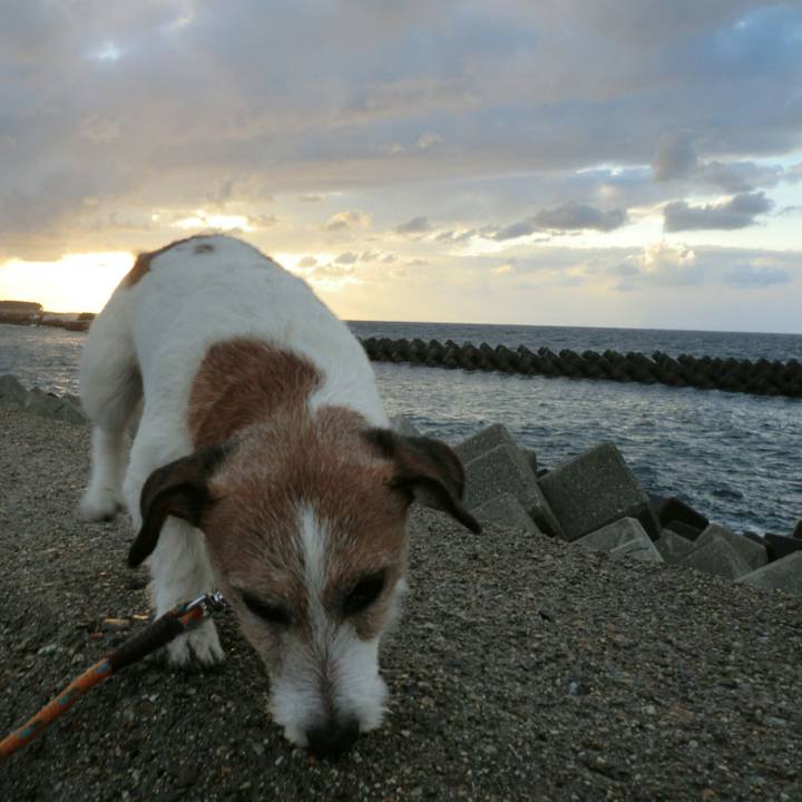 Bdb42614 a628 4b41 a2ae 8aa7dcb21132