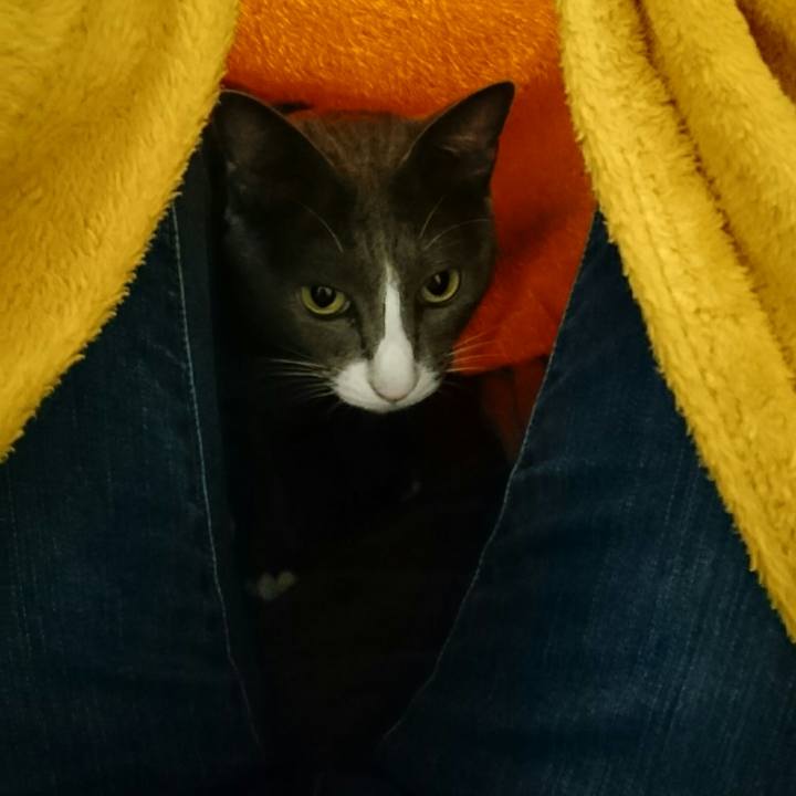 Bdb4d216 b156 4de5 8cce c8c11f46a450