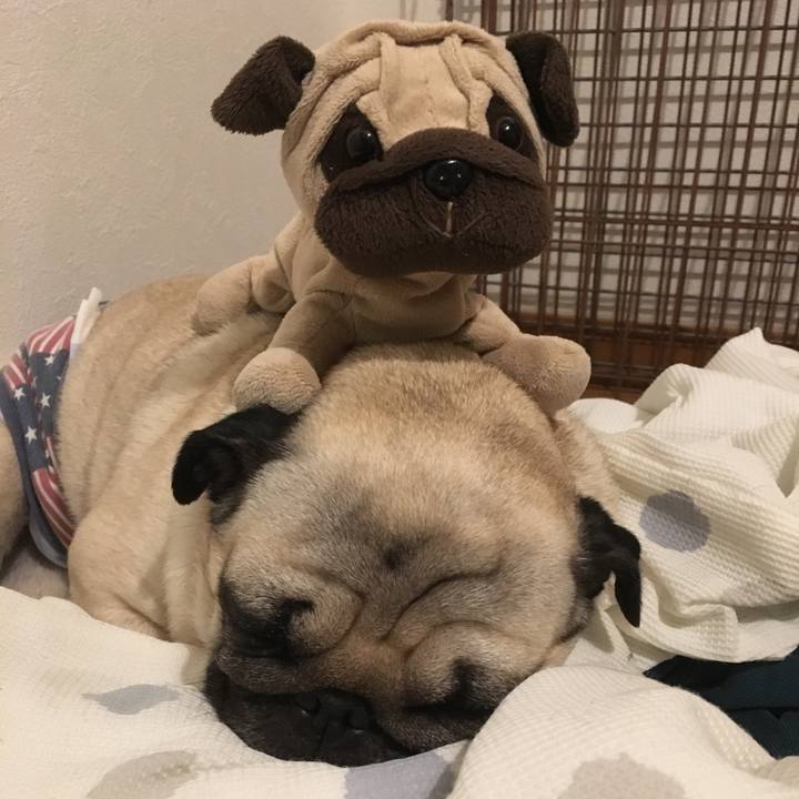 Bdb4e8e7 f796 49ba bc92 68f7fb25e0c4