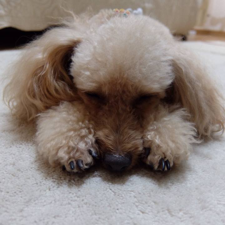 Bdb4f0e1 046a 4869 b4fc 367e7019d667