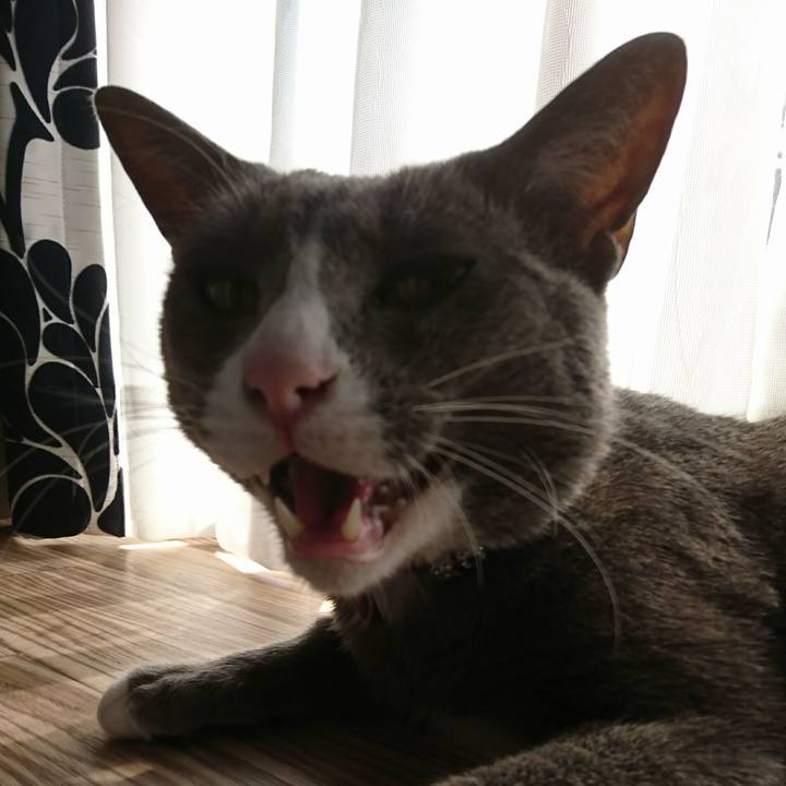 Bdb5359a 400c 4f50 b425 3c1f84c2f822