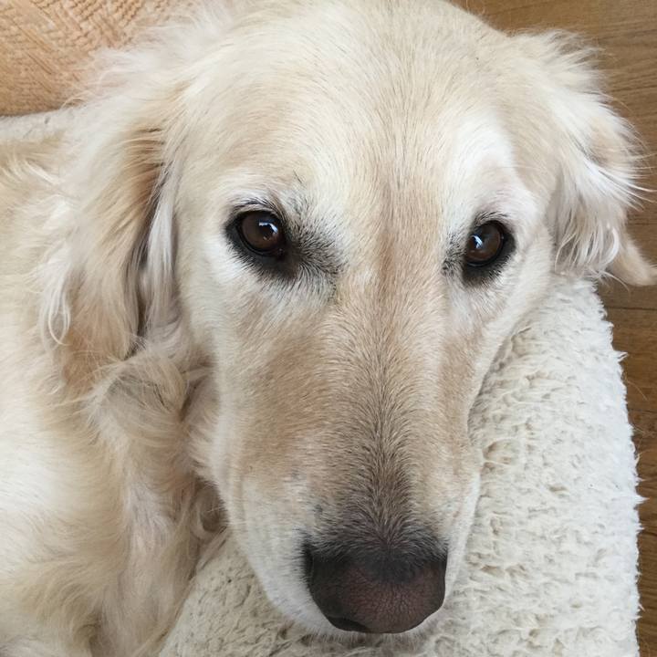 Bdb701ba c21e 4c07 8f94 9d59671a3c12