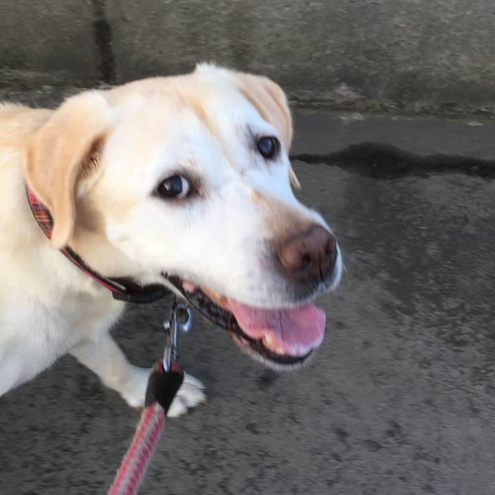 Bdb76363 0831 4647 ba35 41de9aa8ba47