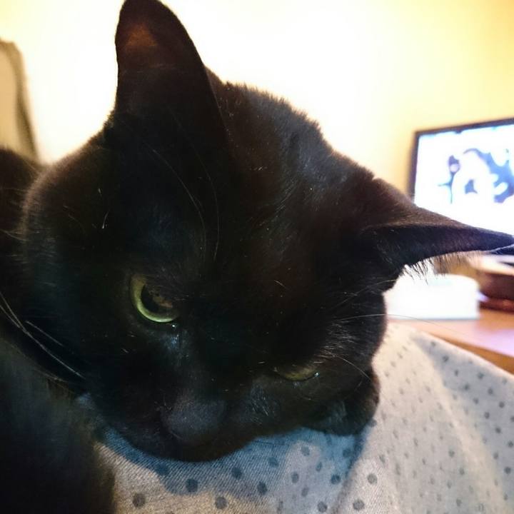 Bdb7821d 2ba9 43d7 88db 51e9c4b82faf