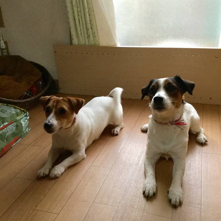 Bdb79ad9 0f0e 4619 ae57 60b71556eca3