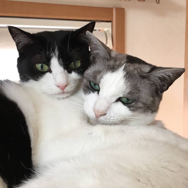 Bdb7f1bd d085 411c ad26 3535ad84c5af