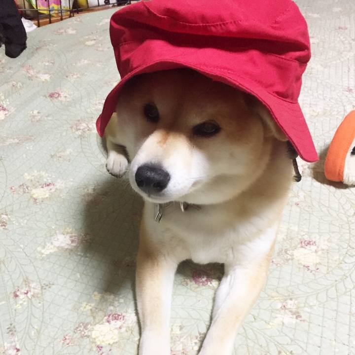 Bdb869a4 821a 41fc af80 fdd3b6d74bdb