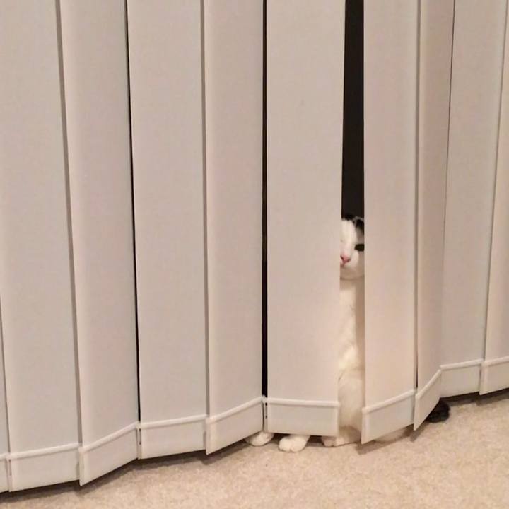 Bdb898e8 0f9e 4b11 b84f 6b020255c3d7