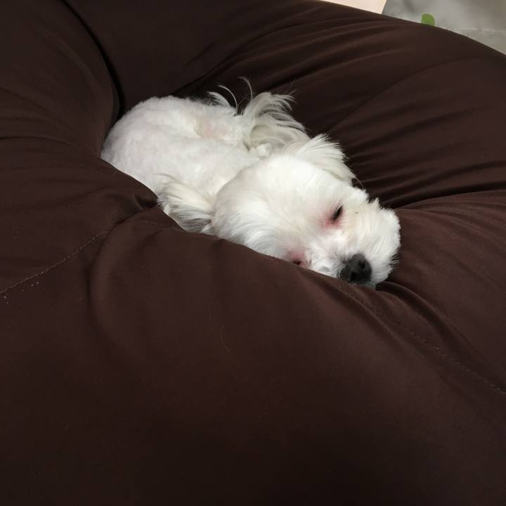 Bdb9bb89 f368 4efe 947d 7d08c8b2faa7