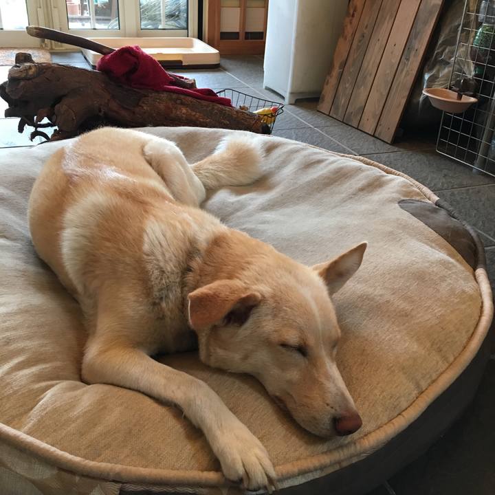 Bdb9d4b2 2a7d 4e62 9a4f a47d31befff5