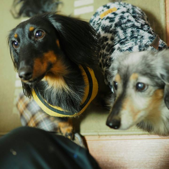 Bdba5794 e1f3 4e62 a3ba fc01c845f997