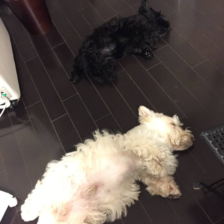 Bdba92ee 69b7 469b 82aa e7c3c872a3ab