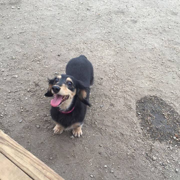 Bdbaa80e 78f7 438a 82ce a8190a8480de