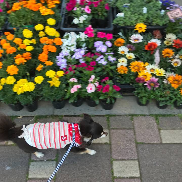 Bdbad3bb 2a68 49c8 b886 ec9dadd9d63d