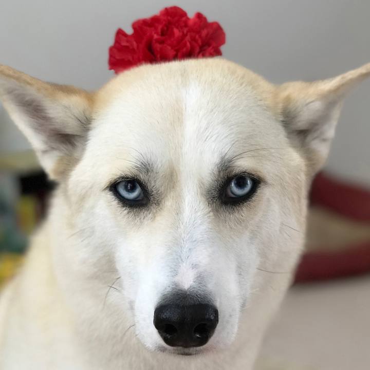 Bdbae40f 27f2 4b1a 9db0 e1998f5abd86