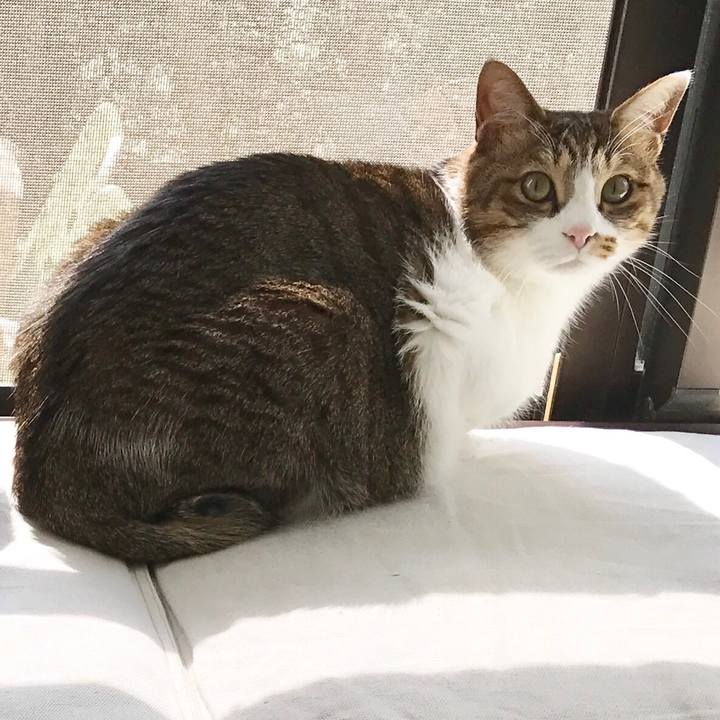 Bdbb1f24 f97f 4214 ba73 0a3604837e07