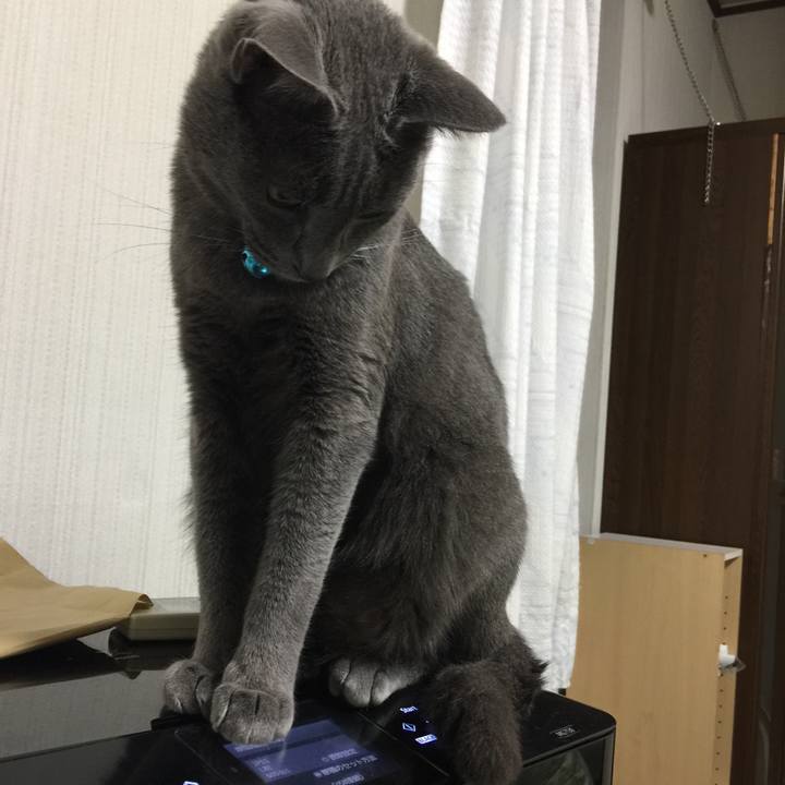 Bdbbe2c3 d011 400b 9d93 292256b1b08c