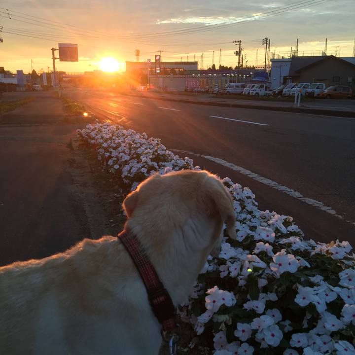 Bdbc2f7a fcdd 4930 a150 c523437488d3