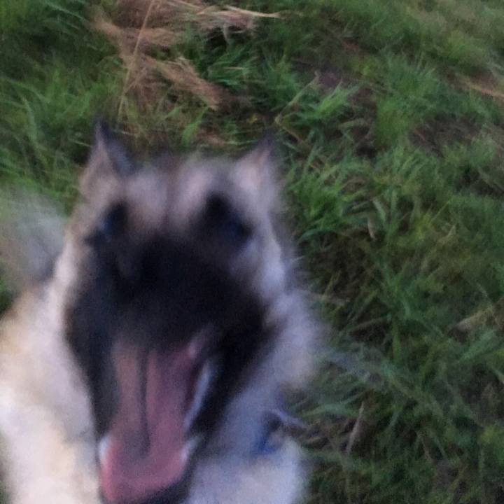 Bdbc5a80 1476 4884 869b 80a577877be6