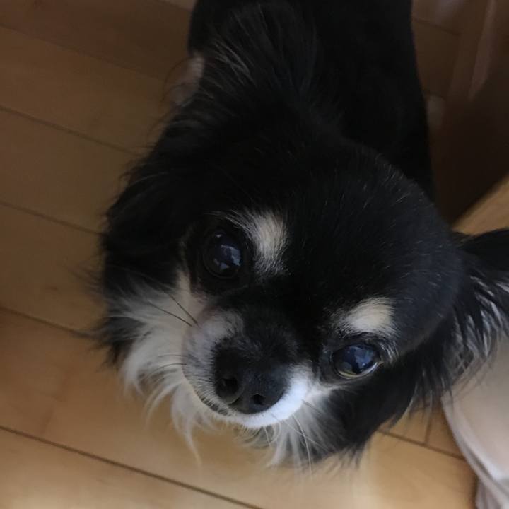 Bdbc5dd9 6a8d 4180 baaa e897b752ee29