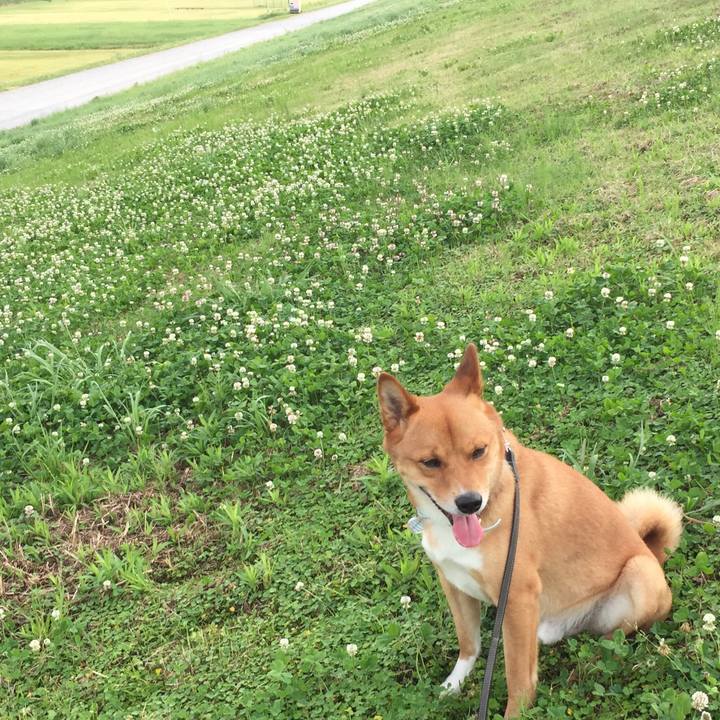 Bdbc7889 3353 4f2c 93ae dfd369df9361