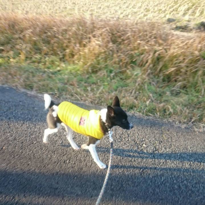 Bdbcee88 64f5 4fb2 826d 34acabac2d7e