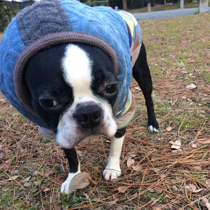 Bdbd1684 c836 429c bcb2 0f5a2785932c