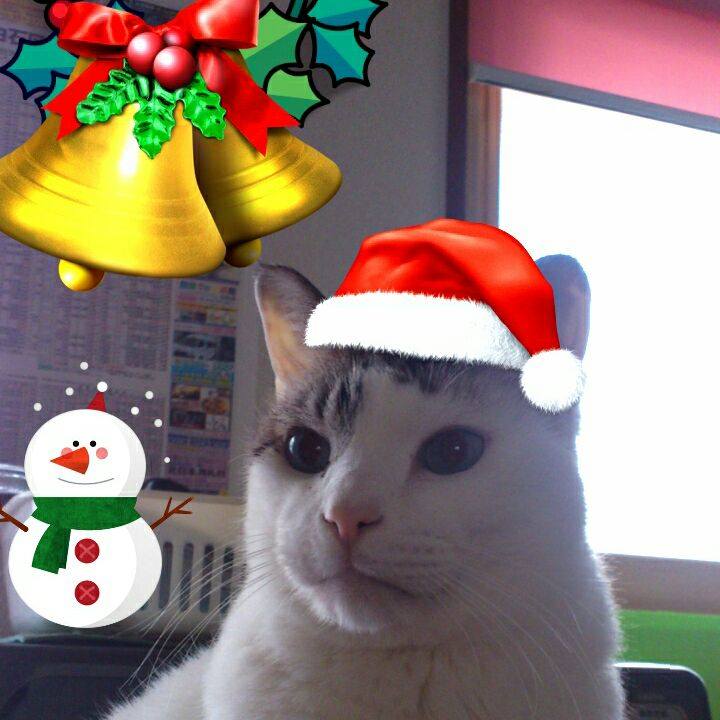 Bdbdbdb0 28cb 47f5 b91e 3fa0956f8d5d