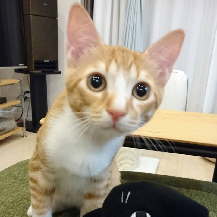 Bdbe6a15 fa11 46b2 8d58 e48eb5b1ee70