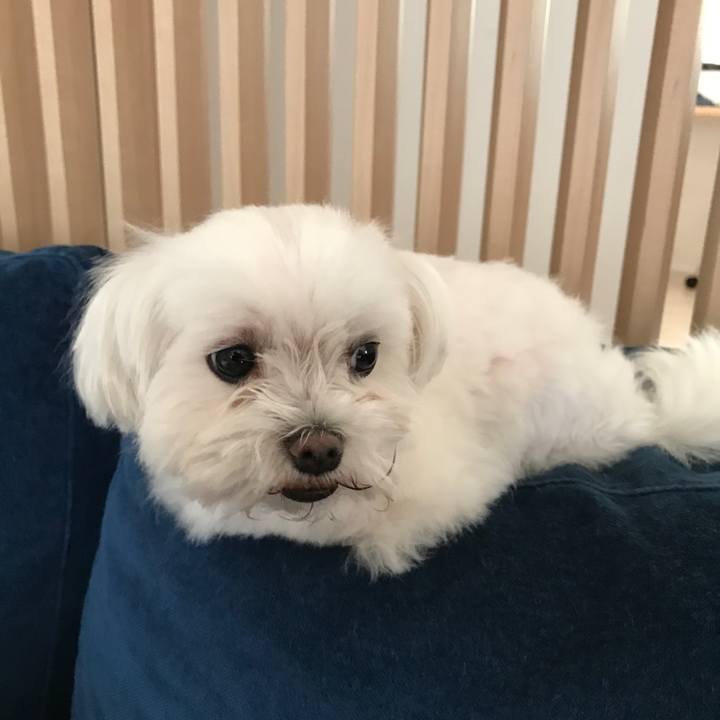 Bdbeb8de 7734 4b22 9ed2 b6e239123be3