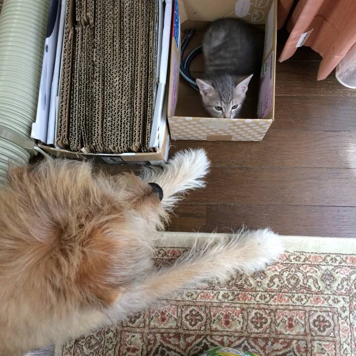 Bdbf2e24 368c 4ab7 890a 28a8c396eb38