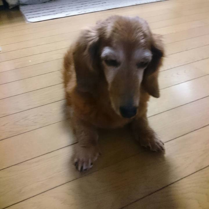 Bdbf4140 7315 4be2 8e2d 28ab3bf5b949