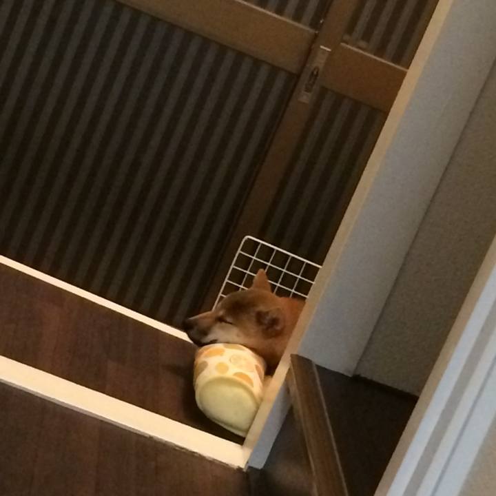 Bdbfaecb fa38 48bc 976d da5946d1462f