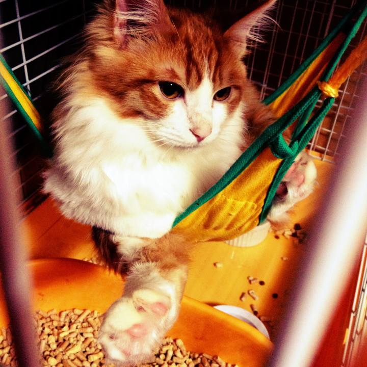 Bdc04c05 2aeb 4dfc ae4a a8945b8cd289